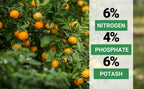 6-4-6 Avocado and Citrus Tree Professional Fertilizer Plant Food for Outdoor/Indoor Gardening; Quick-Release Nitrogen Fertilizer; Orange, Lime, Avocado and Lemon Tree Fertilizer (10 QUARTS)