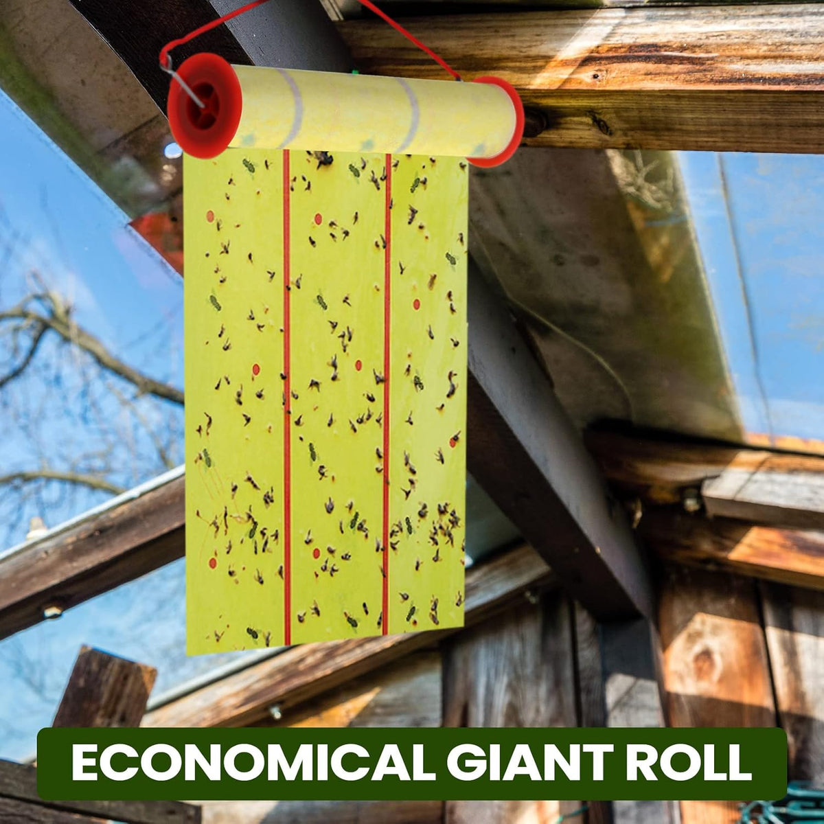 Qualirey Giant Sticky Fly Traps,30 Feet Fly Strips for Indoor Outdoor Hanging Flying Tapes Non Toxic Ribbon Fruit Gnat Killer for Mosquito Plants House Horse Stable (Yellow,1 Pcs)