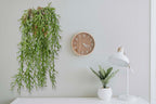 3 Fake Hanging Plants of Lambs Ear Stems with Roots, 47.24 inch Faux Hanging Greenery Plastic Plants for Party Home Office Farmhouse Greenery Wall, Ceiling, Bathroom, Porch Spring Decor