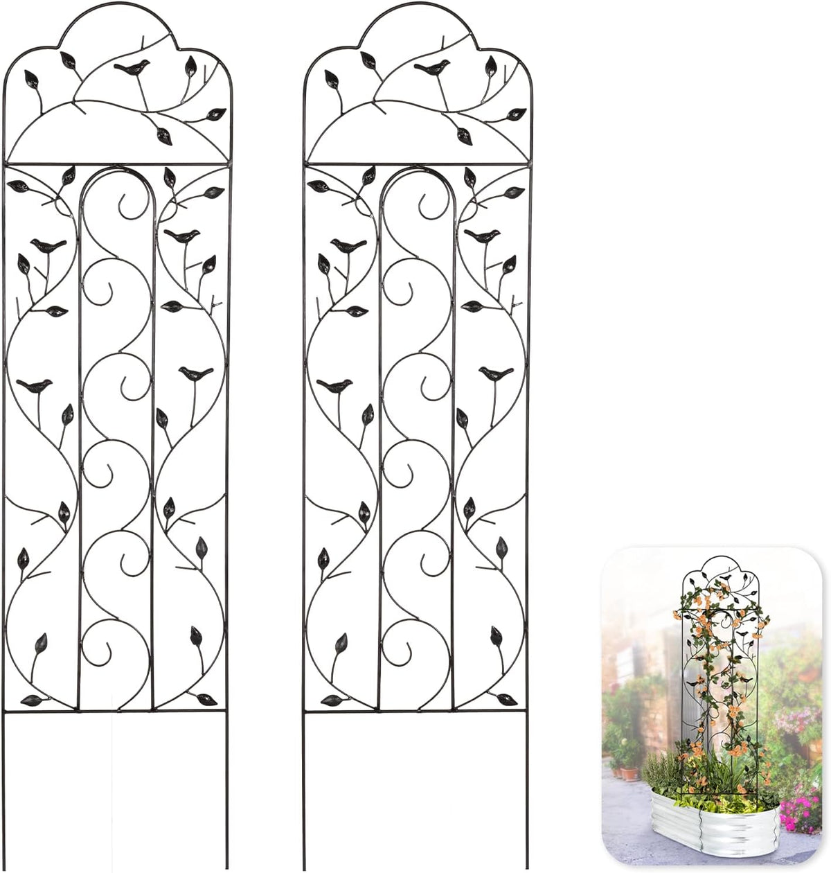Idzo 60in 5ft 100% Metal Garden Trellises for Climbing Plants Outdoor, Heavy-Duty Steel Garden Trellis with Durable Powder Coating, Black