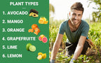 6-4-6 Avocado and Citrus Tree Professional Fertilizer Plant Food for Outdoor/Indoor Gardening; Quick-Release Nitrogen Fertilizer; Orange, Lime, Avocado and Lemon Tree Fertilizer (1 Quart)