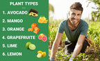 6-4-6 Avocado and Citrus Tree Professional Fertilizer Plant Food for Outdoor/Indoor Gardening; Quick-Release Nitrogen Fertilizer; Orange, Lime, Avocado and Lemon Tree Fertilizer (5 QUARTS)