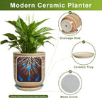 Ceramic Planter 10 Inch - Ceramic Pots for Indoor Plants Outdoor Large Plant Pot with Drainage Hole and Saucer Cylinder Flower Pot Yellow