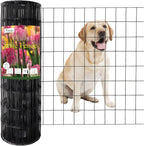 Black PVC Coated Welded Wire Fence 24 Inch x 50 Foot, 2 Inch x 3 Inch 16GA, Garden Border Fencing Roll Vinyl Coating Metal Wire Mesh for Yard Vegetable Plant Protection Poultry Netting