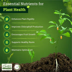 FoxFarm BushDoctor Cal-Mag - Liquid Calcium & Magnesium Supplement, Prevents Blossom End Rot & Tip Burn - Formula with 3% Calcium, 0.9% Magnesium for Gardening- NPK 1-0-0 (Pint)