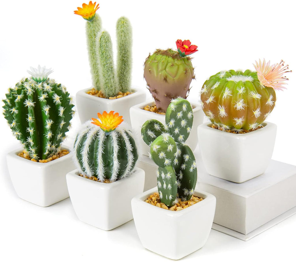 Mini Artificial Cactus Plants in Ceramic Pots 6 Pcs Potted Faux Succulents in Pots Fake Potted Plants Cactus Decor Small Artificial Plant for Home Decor Indoor Office Desk Tabletop Shelf