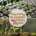 Hummingbird & Butterfly Wildflower Seed Mix - 1 Lb - Wild Flower Seed Mixture: Alyssum, Lemon Mint, Foxglove, More