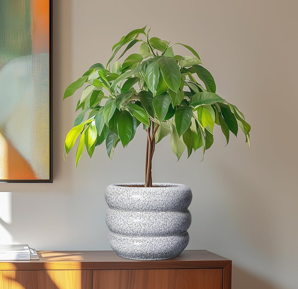 SQOWL Ceramic Pots for Plants - 8 Inch Plant Pot with Drainage Hole, Round Planter for Indoor Plants, Ceramic Flower Pots Outdoor, Modern Planter, Room Decor, Gifts for Plant Lover, Black and White