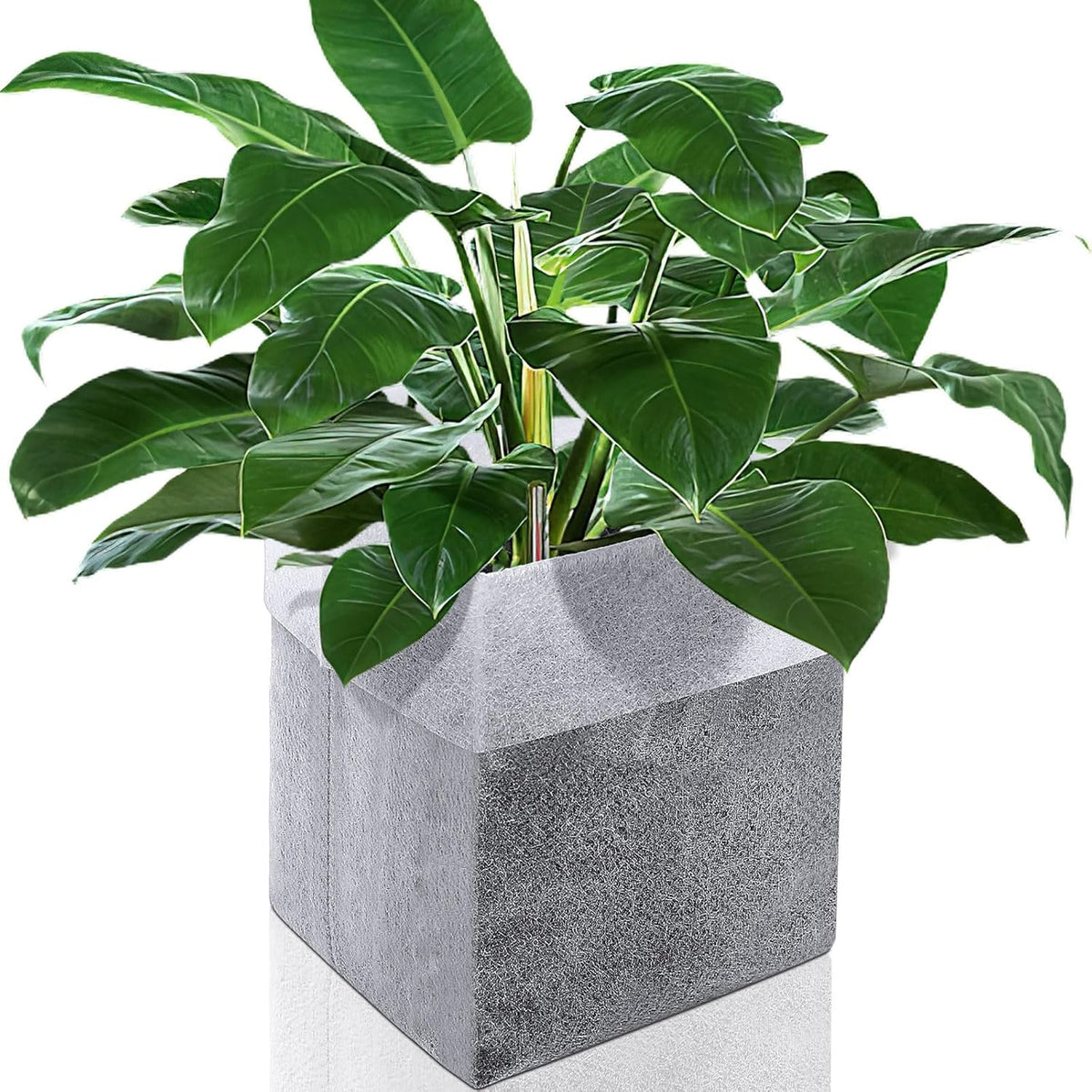 Augshy Nursery Growing Bags, 200Pcs Plant Grow Bags Non-Woven Fabric Seedling Pots Seedling Bags for Planting Seed Starting Pots Pouches for Vegetable Flower Fruit Saplings Tree (5.9" x 6.3")