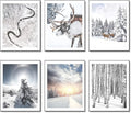 HoozGee Winter Wall Art Prints Set of 6 Canvas Print Artwork Sun Poster Ice Lake Snow Forest Frost Deer Pictures Photography Photo Bedroom Art Wall Decor (11"x14" UNFRAMED, Winter Art)
