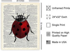 Poster Master Dictionary Art Poster - Retro Ladybug Print - Insect Art - Red Bug Art - Gift for Men, Women & Animal Lover - Minimal Decor for Living Room & Kid's Room, 24x32 Unframed Wall Art