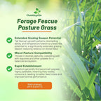 Outsidepride Forage Tall Fescue Grass Seeds - 25 lb. Perennial, Drought-Tolerant & Easy to Grow, Pasture Seeds for Planting Soft & Abundant Grass, Great for Grazing Livestock & Hay Production