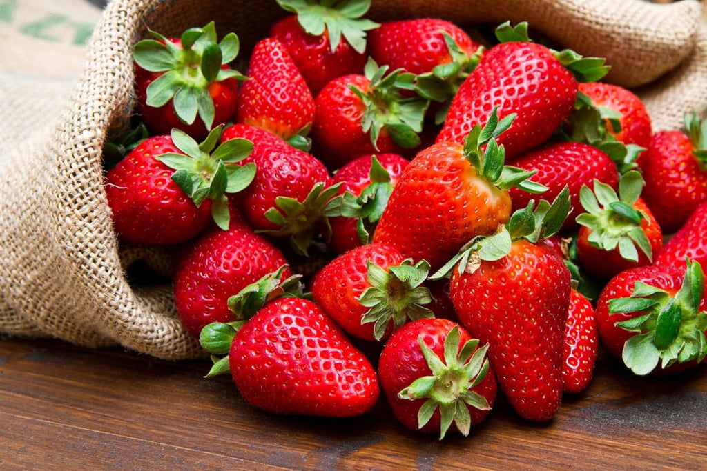 Mountain Jewels Strawberry Plants - Grow Giant Strawberries - Bare Root Plants for Growing (20 Plants)