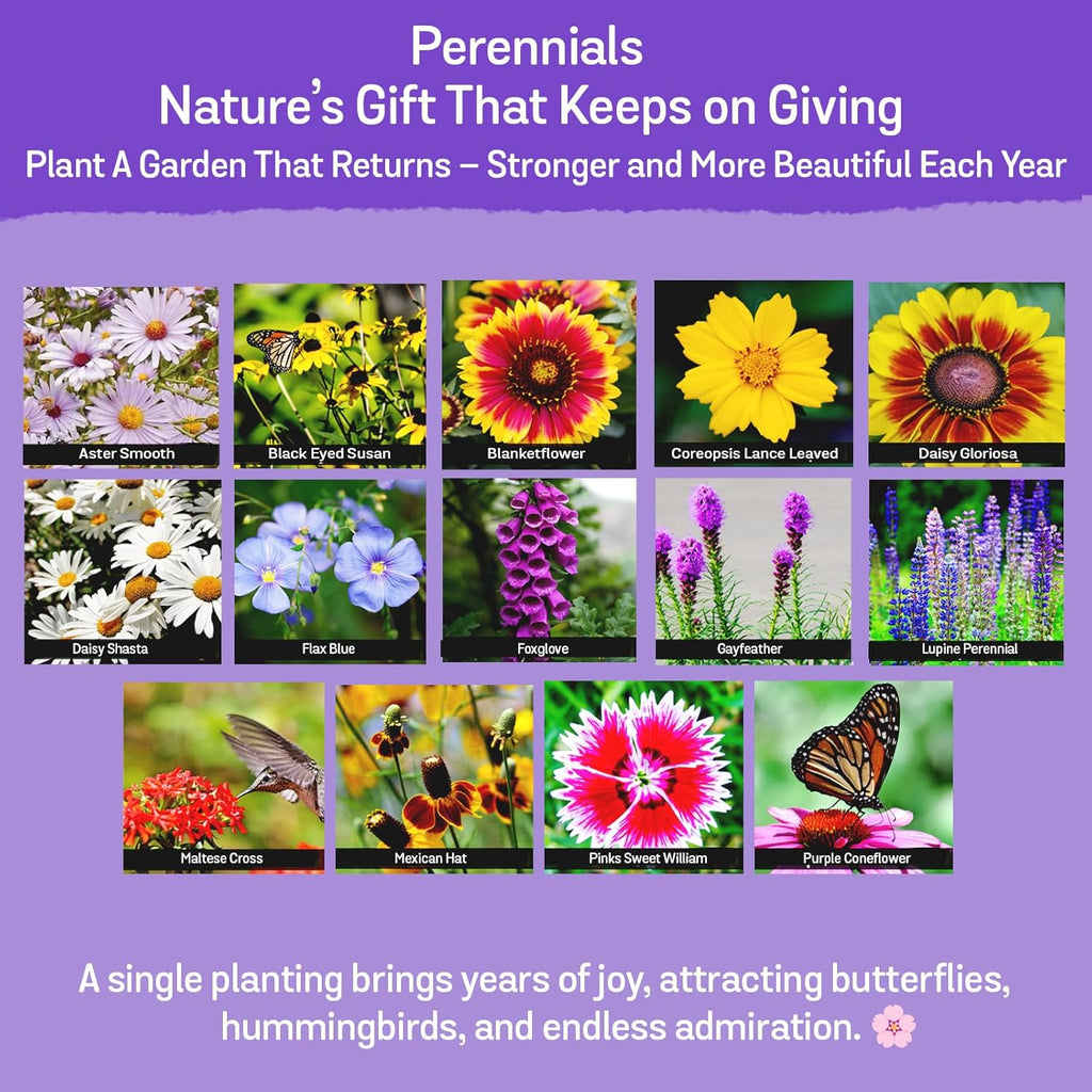 NatureZ Edge Wildflower Seeds Mix – 2 Oz, 85,000 Seeds, 35 Variety Perennial & Annual Flower Seeds to Plant Outside, Bulk Wildflower Seeds, Wild Flower, Semillas de Flores