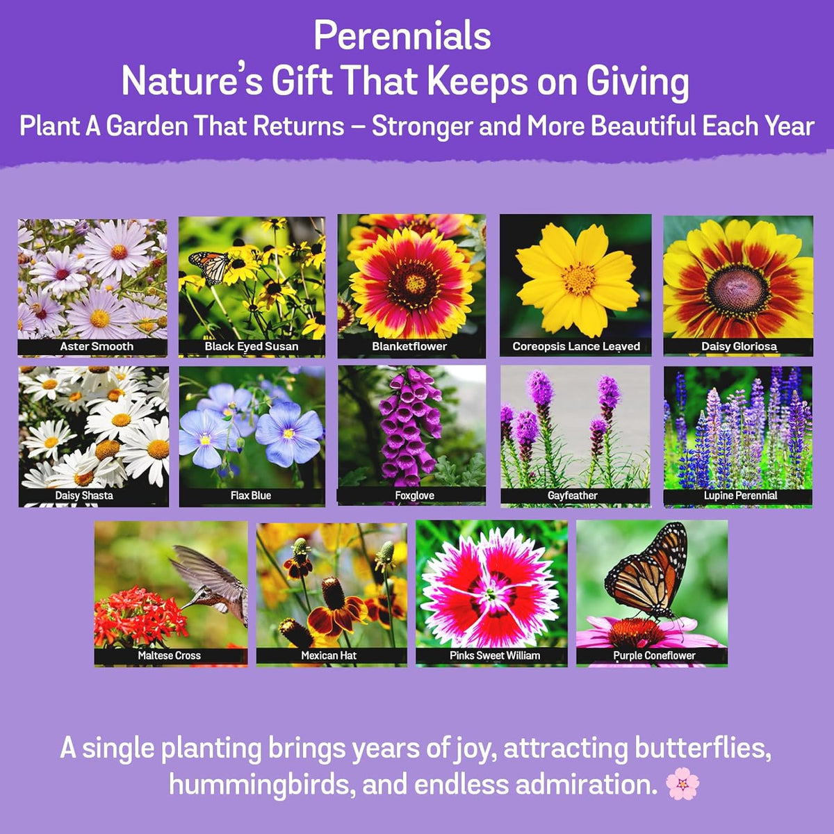 NatureZ Edge Wildflower Seeds Mix – 2 Oz, 85,000 Seeds, 35 Variety Perennial & Annual Flower Seeds to Plant Outside, Bulk Wildflower Seeds, Wild Flower, Semillas de Flores