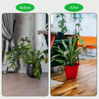30 Inch Plant Trellis Indoor for Potted Plants 3 Pack Indoor Plant Trellis for Climbing Plants Stackable Houseplant Support Metal Garden Pot for Vine Ivy(30inch Black)