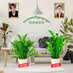 6-Pack Snake Plant Support Stakes, Half-Round Peony Cages and Supports, Green Plant Support Ring - Sturdy and Durable for Indoor and Outdoor Potted Plants, Such as Amaryllis, Peony, Hydrangea