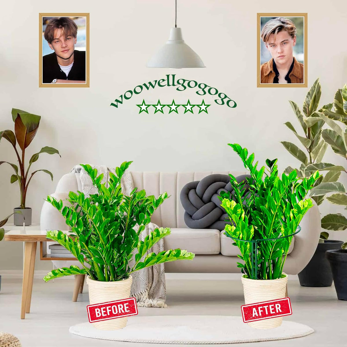 6-Pack Snake Plant Support Stakes, Half-Round Peony Cages and Supports, Green Plant Support Ring - Sturdy and Durable for Indoor and Outdoor Potted Plants, Such as Amaryllis, Peony, Hydrangea