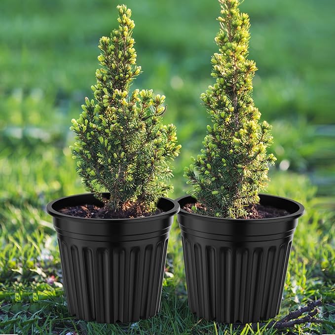 100 Pcs 3 Gallon Planter Nursery Pots, Seed Starting Pot Plastic Flower Seedling Pots with Drainage Holes Flexible Plant Container for Garden Lawn Yard Plants Seedlings (100, 3 Gallon)