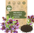 Premium Prunella Vulgaris Seeds - 700+ Non-GMO Self Heal Herb Seeds for Planting - Heirloom Medicinal Herb, Attracts Pollinators - Easy to Grow for Garden, Indoors or Outdoors (Prunella vulgaris)
