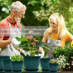 Plant Pots Indoor with Saucers & Drainage - 6 Pack Flower Pots - Plastic Planters for Indoor Planter - 7.5/6.6/5.8/5.0/4.3/3.5 inches Sizes for All Different Types of Plants-Dark Green