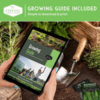 Indoor Garden Vegetables Hydroponic Apartment Garden - Non-GMO Heirloom Vegetable Varieties for Small-Space Patio Garden - Hydroponics-Friendly - Plant Indoors or Outdoors - Survival Garden Seeds