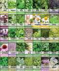 35 Medicinal & Culinary Herb Seeds Variety Pack – Heirloom Non-GMO Garden Kit for Indoor, Outdoor, or Greenhouse Growing – Apothecary, Tea & Cooking Herbs – Premium Gift for Gardeners & Homesteaders