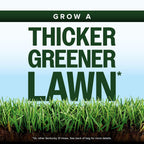 Scotts Kentucky 31 Grass Seed Mix for New Lawns or Overseeding, Grows Thicker and Greener vs. Other Kentucky 31 Mixes, Covers up to 5,000 sq. ft.