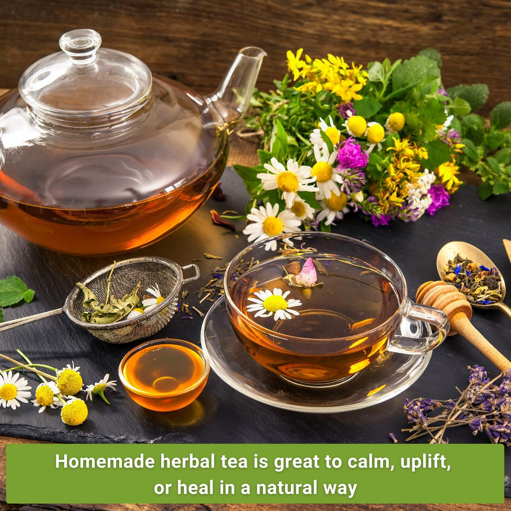 Sow Right Seeds - Large Herbal Tea Garden Seed Collection for Planting - Lemon Balm, Mint, Chamomile, Lavender, Echinacea, Borage, Hyssop, Calendula, and Holy Basil Tulsi - Non-GMO Heirloom to Grow