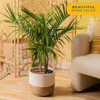 Costa Farms Majesty Palm Live Plant, Indoor and Outdoor Live Palm Tree, Potted in Premium Decor Planter, Tropical Patio, Balcony, Home Decor, Perfect House Plant Gift for Housewarming, 3-4 Feet Tall