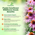 Outsidepride Purple Echinacea Coneflower Seeds - 1000 Pcs Perennial, Deer-Proof & Drought Tolerant Flower Seeds with Daisy-Like Blooms for Pollinator-Friendly Gardens, Borders, & Meadows
