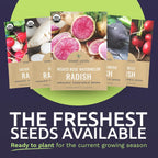 Organic Radish Seeds Variety Pack - 5 Individual Packs - 2025 Season - Cherry Belle, Easter Egg, Misato Rose and More! for Indoor & Outdoor Planting (Non-GMO, Certified Organic)