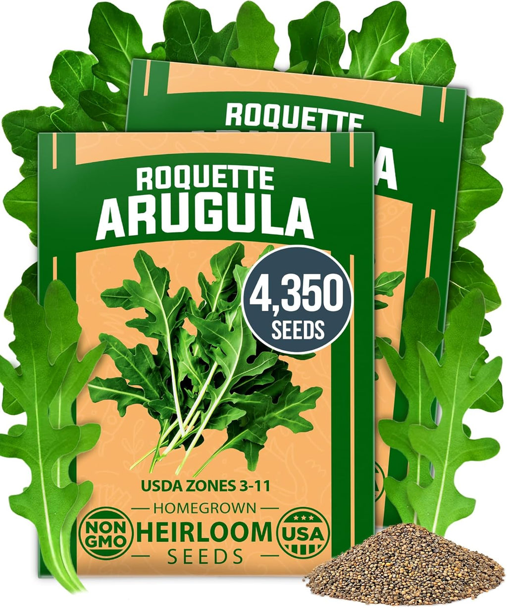 HOME GROWN Arugula Seed 2 Pack – 4350 𝗡𝗢𝗡-𝗚𝗠𝗢 𝗨𝗦𝗔 Vegetable Seeds – Ideal Seeds for Hydroponic Garden Indoor – Premium and Heirloom Arugula Seeds for Planting (Eruca vesicaria)