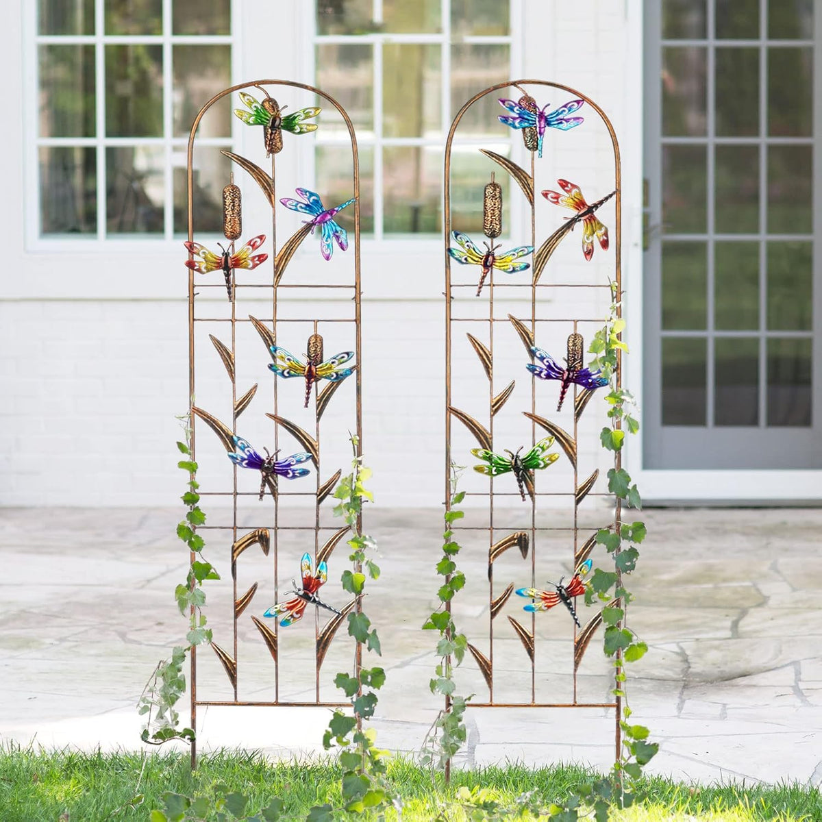 LEWIS&WAYNE 2 Pack Metal Garden Trellis with Colorful Dragonfly 60 Inch High Outdoor Decoration Arched Fence Trellis for Climbing Plants for Patio, Lawn, Yard, Backyard, Wall Brackets