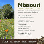 Eden Brothers Missouri Wildflower Mixed Seeds for Planting, 1/4 lb, 120,000+ Seeds with Lupine, Coreopsis | Attracts Pollinators, Plant in Spring or Fall, Zones