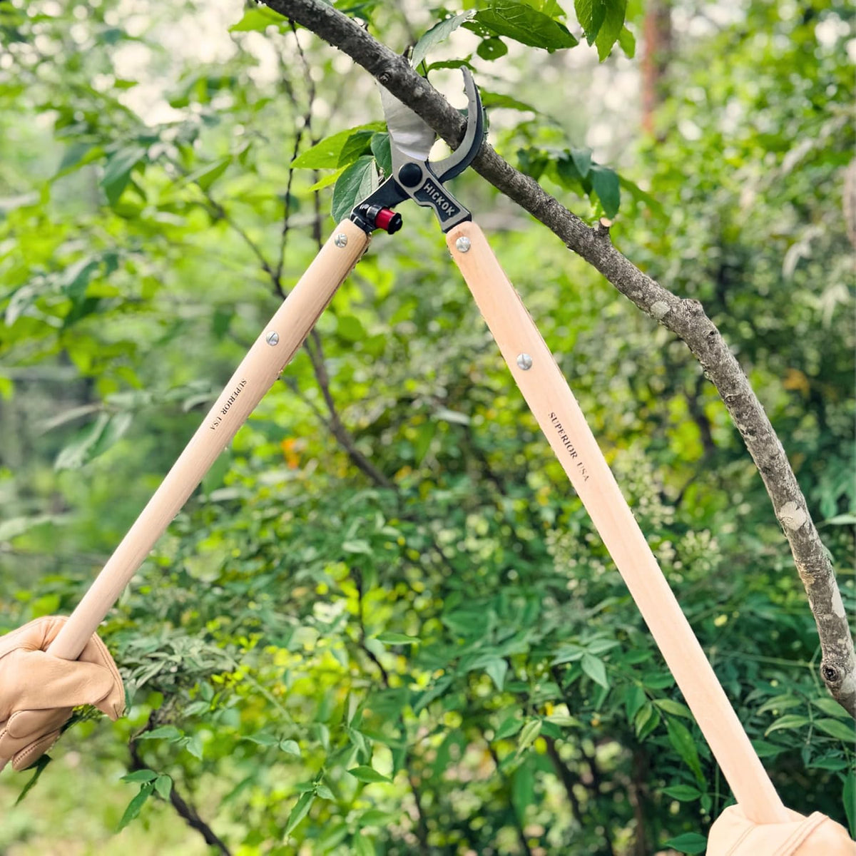 Heavy Duty Tree Lopper – 30" Long Reach Tree Branch Cutter with Hickory Wood Handles | Professional Arborist Pruning Tool Made in USA
