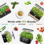 inbloom Fruit Seed Pod Kit for AeroGarden, Ahopegarden, GARDENCUBE, MUFGA, iDoo Hydroponics Growing System, 12-Pods (350+ Seeds Include Strawberry, Tomato, Cucumber, Pea, Ruby Queen Beet)