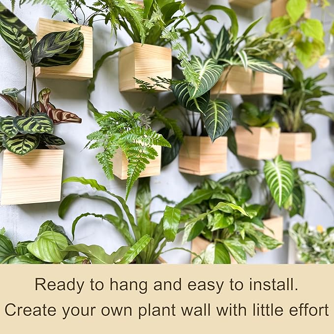 LaLaGreen Wooden Planter Box for Plants (4x4 Inch, 6 Pack) Small Square Wall Planters for Indoor Plant, Natural Wood Hanging Flower Boxes Herb Planter Table Centerpiece Modern Home Garden Office Decor
