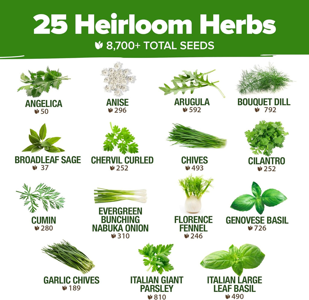 HOME GROWN 25 Herb Seeds for Planting 8,700+ Non-GMO Heirloom Seeds | Extra Large Variety Pack Herb Kit – Indoor Outdoor & Hydroponic | Culinary Seed Set | Grow Your Own Herbs | Gardening Gift