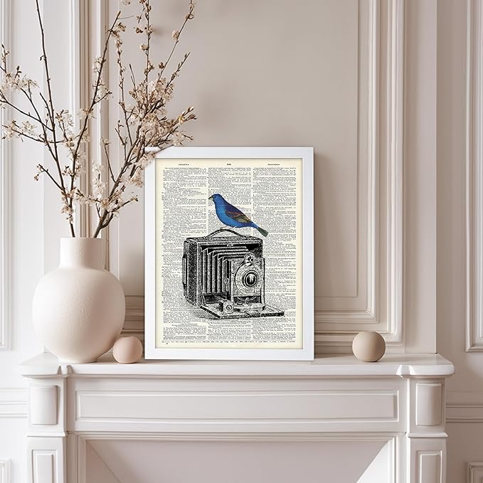 Poster Master Dictionary Art Poster - Antique Camera Print - Bird Art - Photography Art - Gift for Men, Women & Photographer - Chic Decor for Living Room, Bedroom or Office, 11x14 White Framed