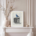 Poster Master Dictionary Art Poster - Antique Camera Print - Bird Art - Photography Art - Gift for Men, Women & Photographer - Chic Decor for Living Room, Bedroom or Office, 11x14 White Framed