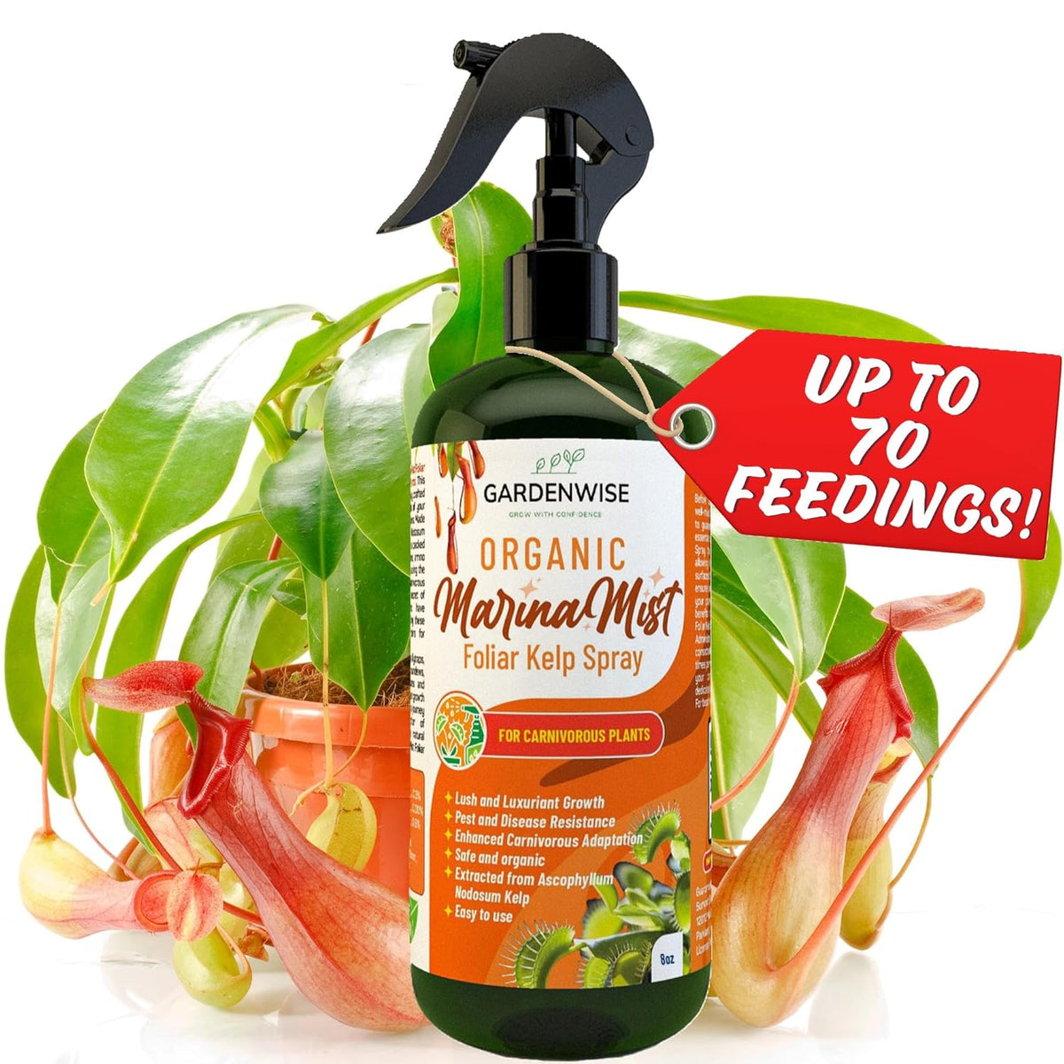 100% Organic Marina Mist Carnivorous Plant Food | Liquid Kelp Foliar Spray for Plants - Kelp Fertilizer for Venus Flytraps, Sundew, Butterworts, Pitcher Plants 8 Oz