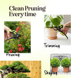 Ultra Sharp Pruning Shears Hedge Clipper – Cuts 3X Easier, Dual-Size Opening, Weak Hand Arthritis Clippers, Rust-Resistant Pruner, Effortlessly Cuts