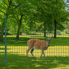 Welded Wire Fence, 50ft(L) x 36inch(H) PVC Coated Wire Fencing for Dog, 2 Inch x 3 Inch 16GA Fencing for Chicken, Anti-Rust Roll Metal Wire Mesh Fence for Yard Vegetable, Green