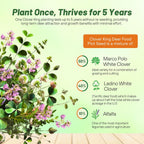 Outsidepride Perennial Clover King Seed Mix - 10 lbs Nitrocoated, Inoculated, Heat & Cold Tolerant, Alfalfa-Enhanced Food Plot Seeds for Deer & Wildlife, Ideal for Spring, Summer, & Winter Plots