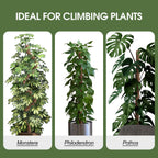 4 Pack Moss Pole 63 Inch Monstera Plant Support Moss Poles Bendable for Climbing Plants Longer Coco Coir Sticks Support Stakes Tall for Indoor Creeper DIY Shape Plants Grow Upwards