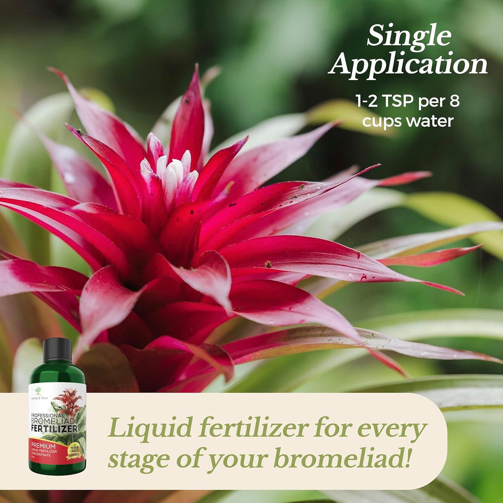 Professional Liquid Bromeliad Plant Fertilizer | 3-1-2 Concentrate for Plants and Flowers | Multi-Purpose Blend & Gardening Supplies | 8 oz Bottle
