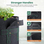 10 Pack 3 Gallon Grow Bags, Thickened Nonwoven Fabric Planter Pots with Handles, Heavy Duty 300G Garden Pots for Tomato, Potato and Vegetable
