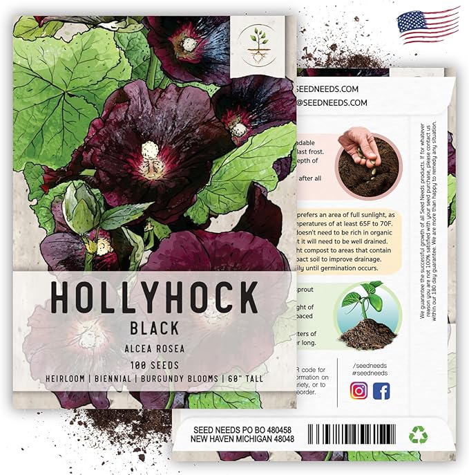 Seed Needs, Black Hollyhock Seeds - 100 Heirloom Seeds for Planting Alcea rosea - Great for Gothic Gardens, Open Pollinated Biennial that Attracts Pollinators (1 Pack)