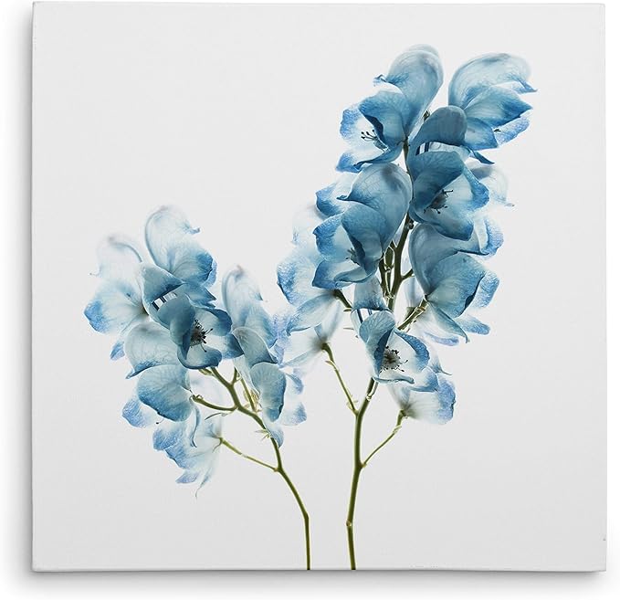 Wexford Home Gorgeous Blue II Gallery Wrapped Canvas Wall Art, 24x24,